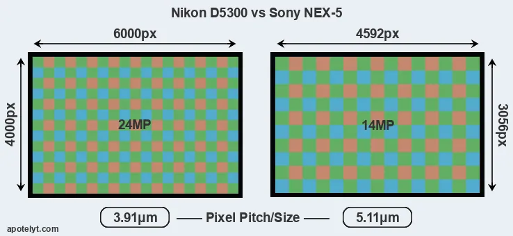 D5300 versus NEX-5 MP