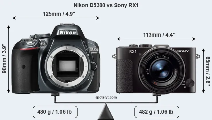Size Nikon D5300 vs Sony RX1