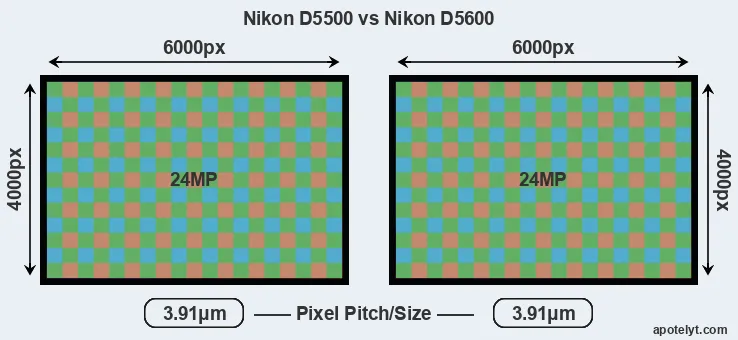 D5500 versus D5600 MP