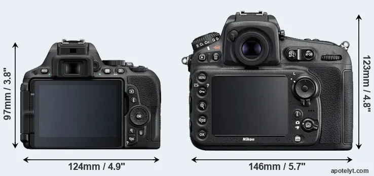 Comparison D5500 or D810 rear