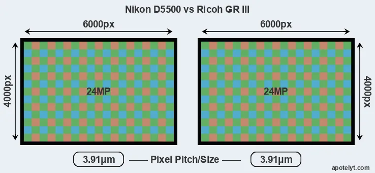 D5500 versus GR III MP
