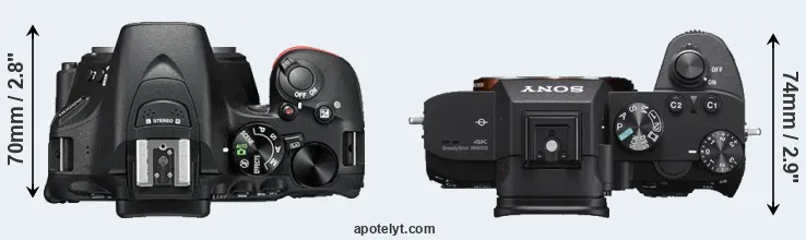 Compare D5500 versus A7 III top