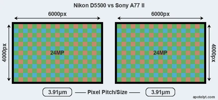 D5500 versus A77 II MP