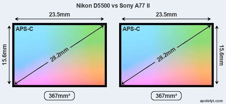 Nikon D5500 and Sony A77 II sensor measures