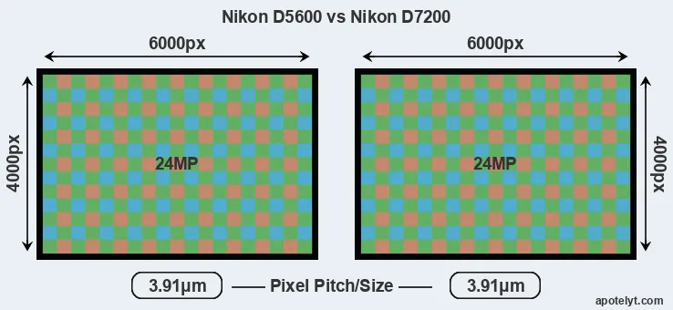 D5600 versus D7200 MP