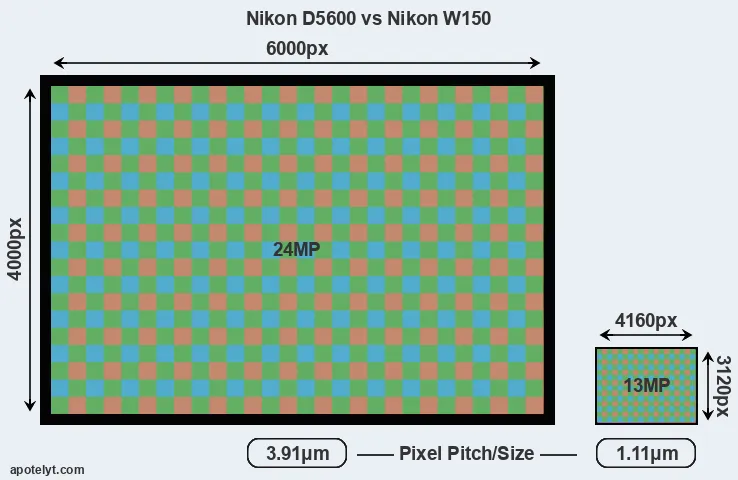 D5600 versus W150 MP