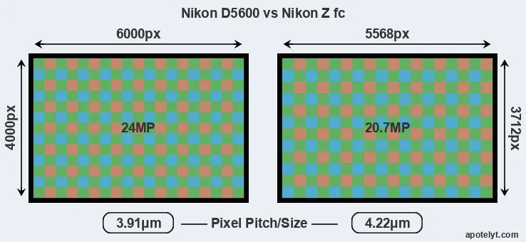 D5600 versus Z fc MP