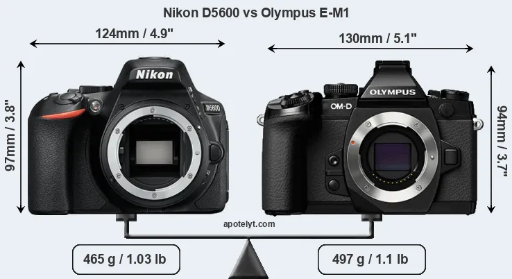 Size Nikon D5600 vs Olympus E-M1