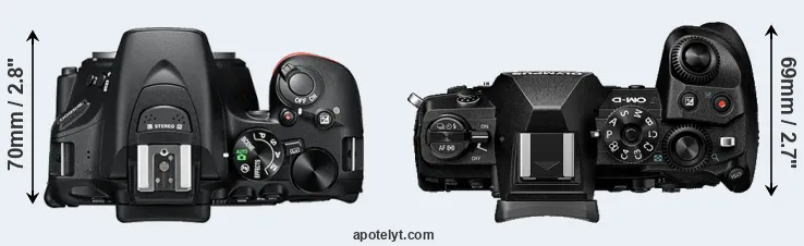 Compare D5600 versus E-M1 III top