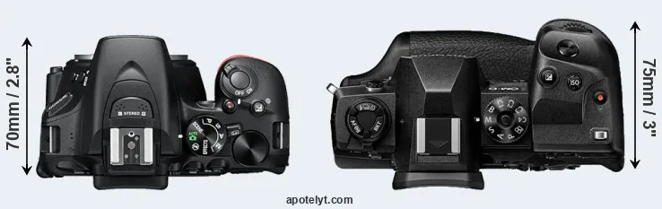 Compare D5600 versus E-M1X top