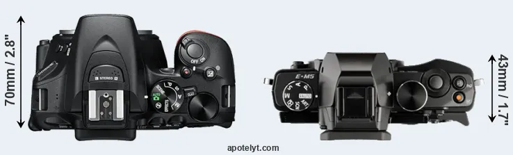Compare D5600 versus E-M5 top
