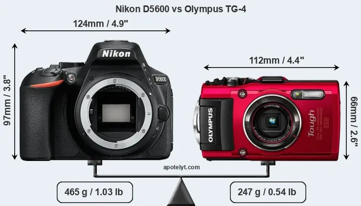 Size Nikon D5600 vs Olympus TG-4
