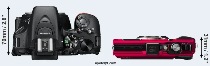 Compare D5600 versus TG-4 top