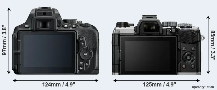 Comparison D5600 or OM-5 rear