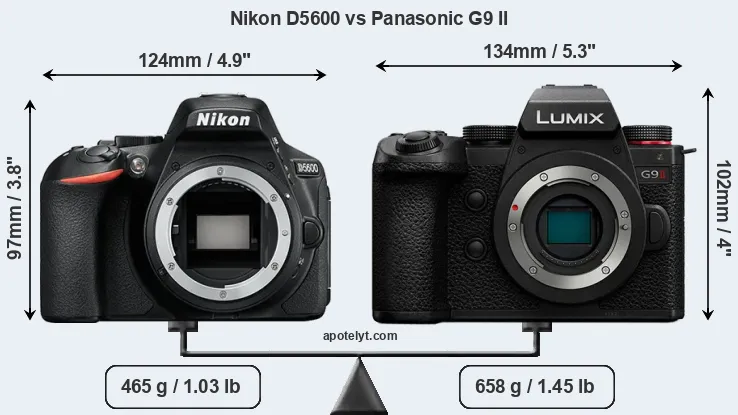 Size Nikon D5600 vs Panasonic G9 II