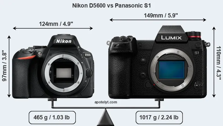 Size Nikon D5600 vs Panasonic S1