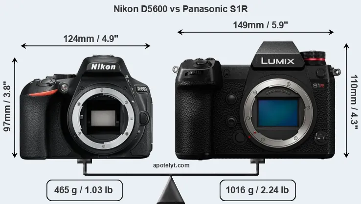 Size Nikon D5600 vs Panasonic S1R