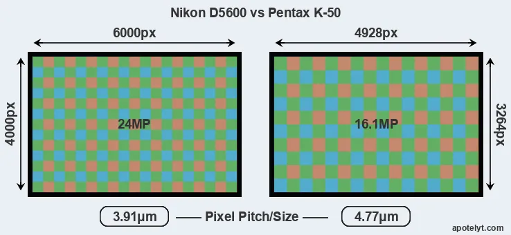 D5600 versus K-50 MP