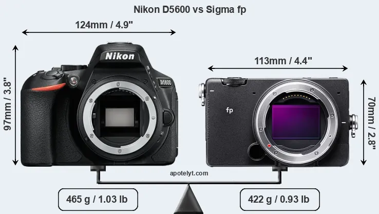 Size Nikon D5600 vs Sigma fp