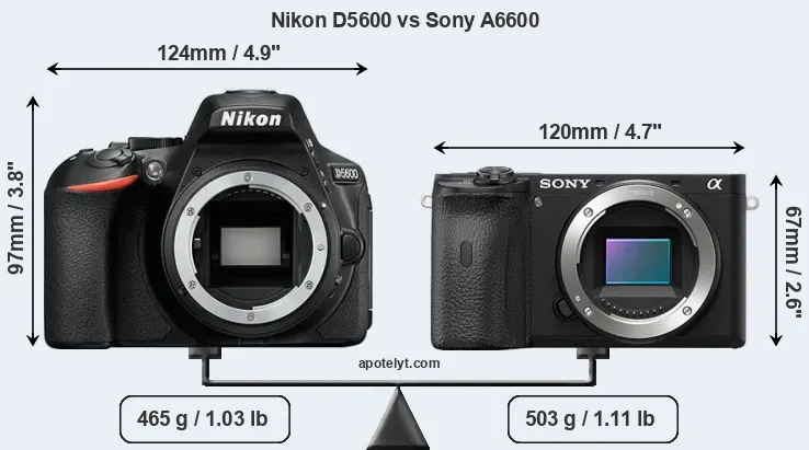 Size Nikon D5600 vs Sony A6600
