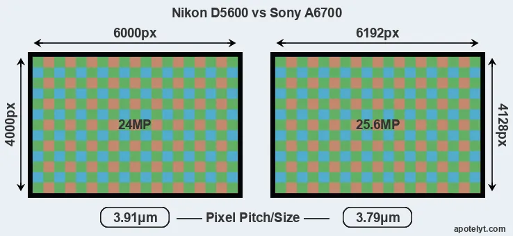 D5600 versus A6700 MP