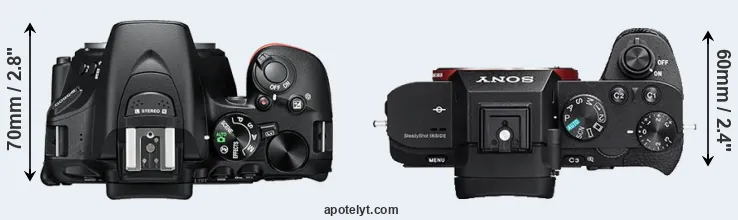 Compare D5600 versus A7 II top