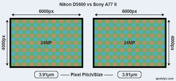 D5600 versus A77 II MP