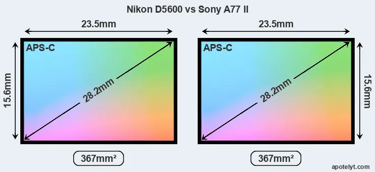Nikon D5600 and Sony A77 II sensor measures