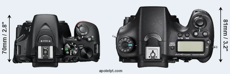 Compare D5600 versus A77 II top