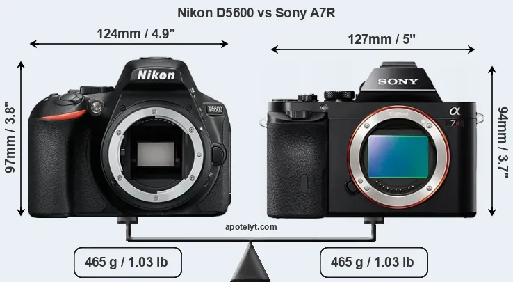 Size Nikon D5600 vs Sony A7R