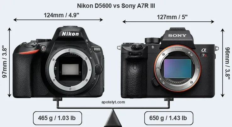 Size Nikon D5600 vs Sony A7R III