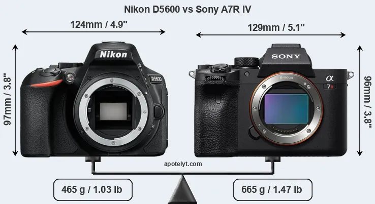 Size Nikon D5600 vs Sony A7R IV