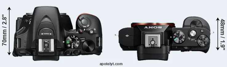 Compare D5600 versus A7R top