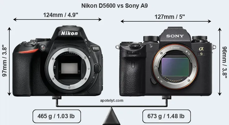 Size Nikon D5600 vs Sony A9