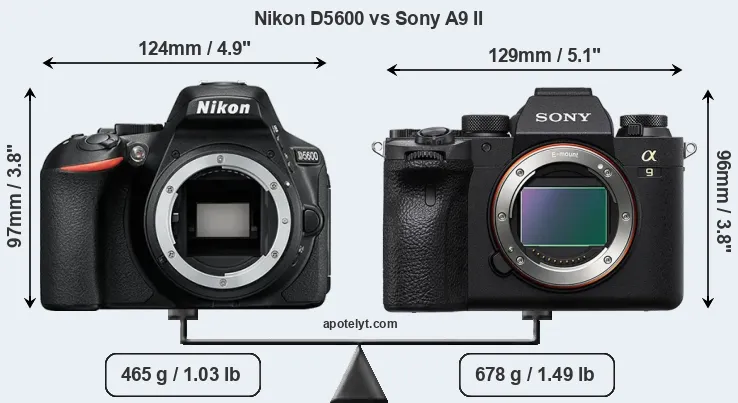 Size Nikon D5600 vs Sony A9 II