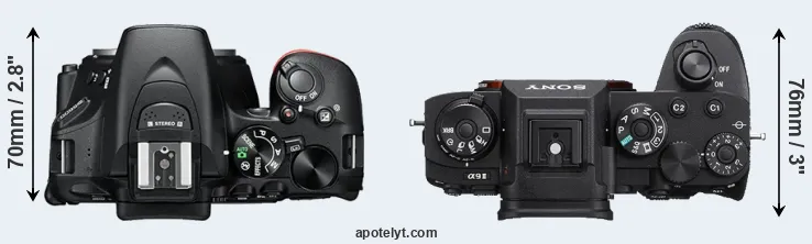 Compare D5600 versus A9 II top