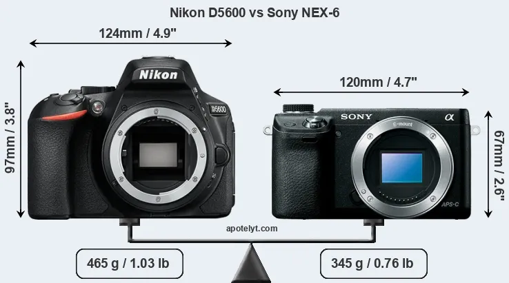 Size Nikon D5600 vs Sony NEX-6