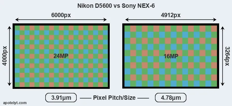 D5600 versus NEX-6 MP