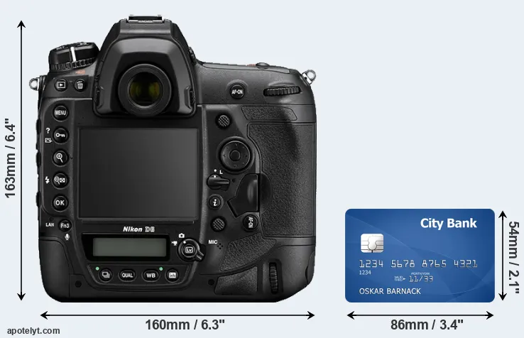 D6 and credit card rear side