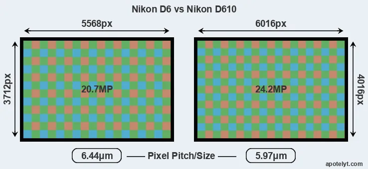D6 versus D610 MP