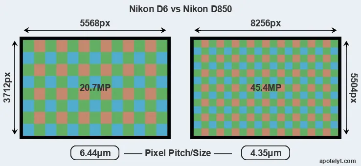 D6 versus D850 MP