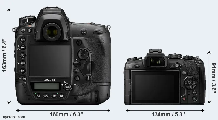Comparison D6 or E-M1 II rear