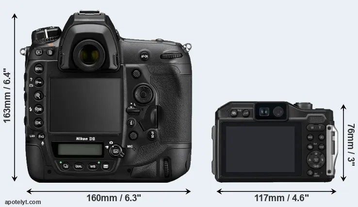 Comparison D6 or FT7 rear