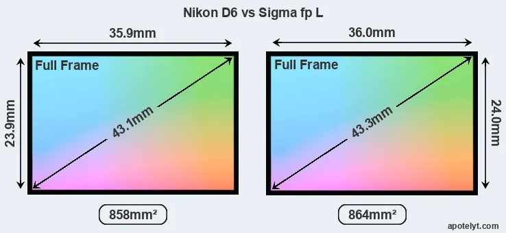 Nikon D6 and Sigma fp L sensor measures