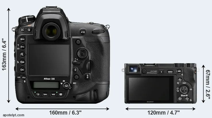 Comparison D6 or A6000 rear