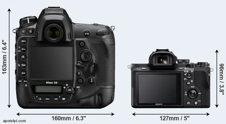 Comparison D6 or A7 II rear