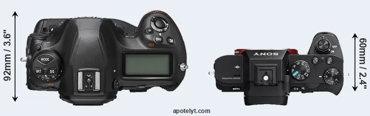 Compare D6 versus A7 II top