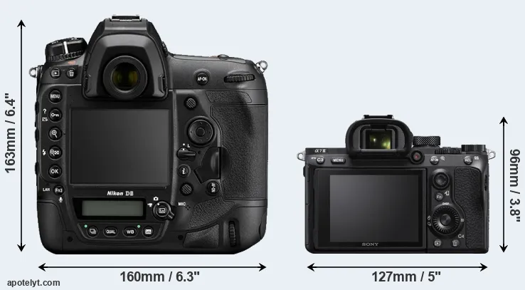 Comparison D6 or A7 III rear