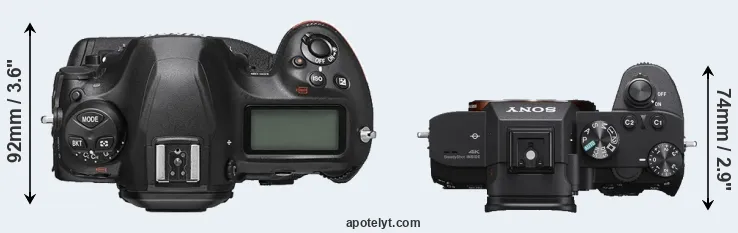 Compare D6 versus A7 III top