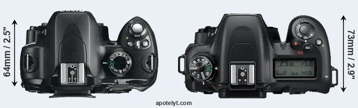 Compare D60 versus D7500 top
